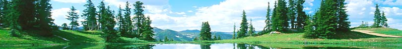 Home page theme image